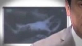 Pornóval ízesítették a híradót a görög tévések (VIDEÓ)