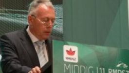 Borbély: küszöbcsökkentés helyett háromnapos szavazás az alkotmányról