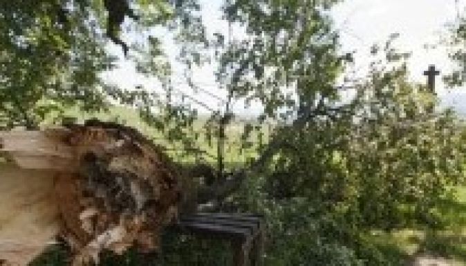 Vihar rongálta meg Erdély leghíresebb fáját, a szentléleki hárst