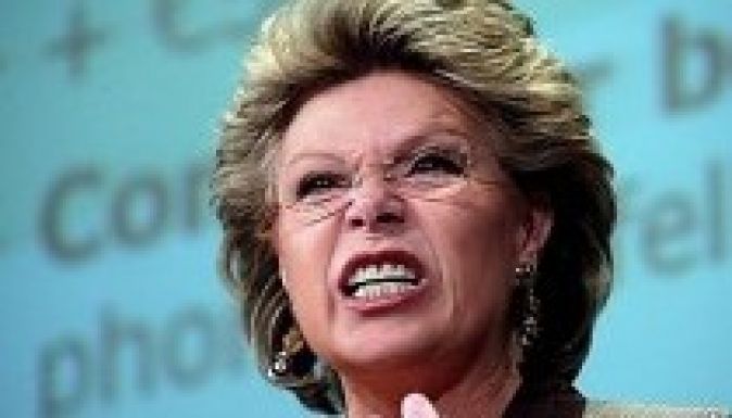 Jobboldali magyar civilek Viviane Reding fejét követelik