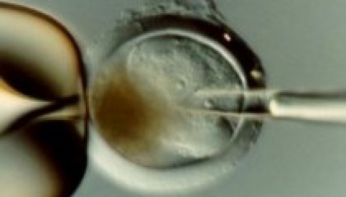 Vérből klónoztak a japán tudósok