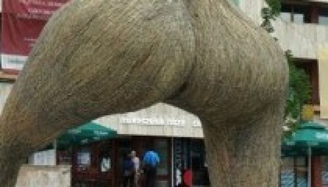 TIFFszereda: a székely bácsik kaszálnak, nem érnek rá bajuszt pödörni