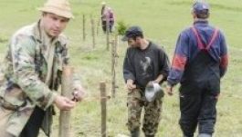 Nyolc kilométer villanypásztort szereltek fel Csíkban