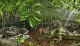 Ősgyíkot kereszteltek Jim Morrison nevére