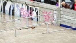 Száztíz éves vízszintrekordot döntött meg a Duna Pozsonynál