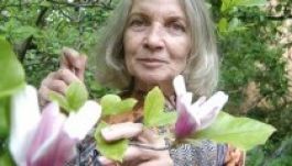 Új módszerrel hatékonyan gyógyítható a szklerózis