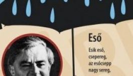 A Hangzó Csoda esernyőkkel segítené az árvízkárosultakat