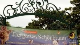 Bécsben keressük Európa legjobb állatkertjét!