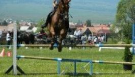 III. Ditrói Lovasnap: lovak, jövő, magyarság