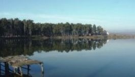 Környezeti hatástanulmányra kötelezik a Schweighofert