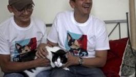 Elegük van a „patkányokból”, macskát választanának városuk élére