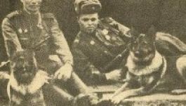 Moszkvában szobrot állítottak a hősi halált halt kutyáknak