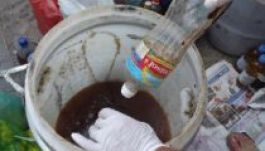 Sikeres volt a hétvégi Nagy olajgyűjtés Csíkszeredában