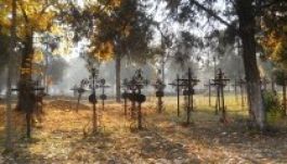 A nagyváradi magyarok tiltakoznak, mert az olaszi parkból Mihai Viteazul lesz