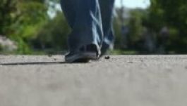 Lassúságáért állítottak bíró elé egy járókelőt