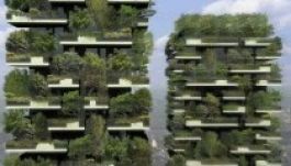 A világ első függőleges erdejét Milánóban ültetik