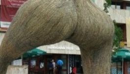 TIFFszereda: a székely bácsik kaszálnak, nem érnek rá bajuszt pödörni