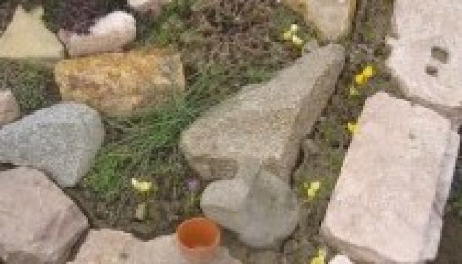 Tízezer évvel ezelőtt kezdtünk virágot ültetni a sírhantokra