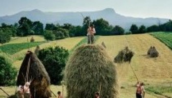Erdély kaszálóiról áradozik júliusban a National Geographic