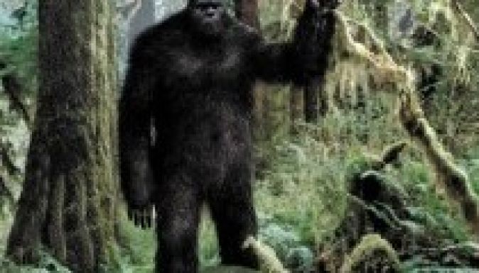 Lefilmezték a rettegett Nagylábút a kanadai hegyekben (VIDEÓ)