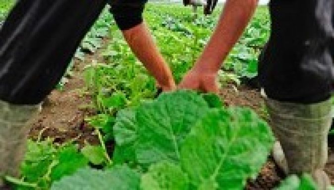 Hivatalos idénymunka: jó a munkavállalónak is, a munkáltatónak is