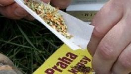 A csehek züllöttebbek a magyaroknál és a románoknál is