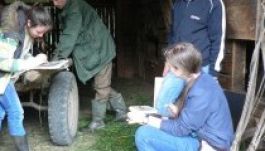 Természetvédő művésztábor a gyimesi Hidegségben