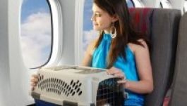 Törzsutasok lehetnek a háziállatok is az ausztrál repülőkön