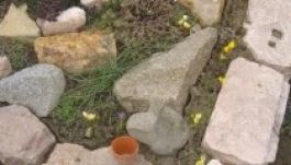 Tízezer évvel ezelőtt kezdtünk virágot ültetni a sírhantokra