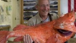 Matuzsálemi korú halat fogtak Alaszkában