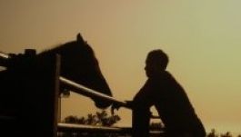 Szerelembe esett egy lóval, ezért letartóztatták