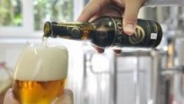 Készül az első magyar biosör ősi gabonaféléből