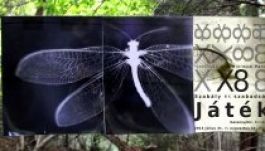 Játék, szabály és szabadság az idei Minimum Party alkotótábor témája