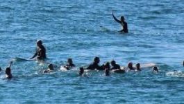 Bálna csapott szét a szörfösök között (GALÉRIA)