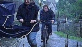 Halak potyognak az égből száz éve, ha Hondurasban esik