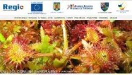 Népszerűsítik Hargita megye természetvédelmi területeit