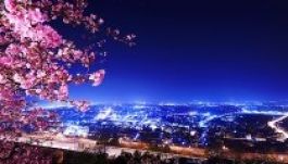 Színes fényárba borul Új-Zéland, ha megszületik a brit trónörökös