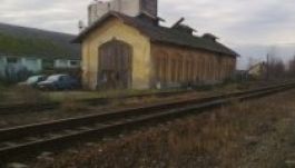 Izolda feltételezett gyilkosa ellen vallottak a tanúk