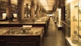 Múzeumok találkozójára készülnek Marosvásárhelyen