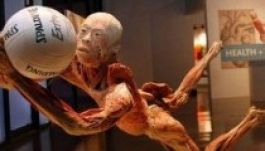 2011-ben tízmillió alá csökkent a múzeumlátogatók száma