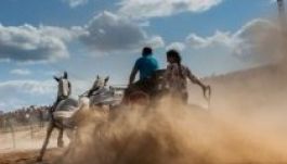 Dancs Annamari győzött a „celebek” fogathajtó versenyén (GALÉRIA)