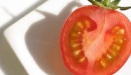 Alig maradt már paradicsom Argentínában