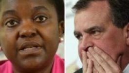 Leorángutánozott egy minisztert az olasz szenátus alelnöke