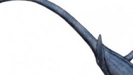 Plezioszauruszmaradványokat találtak Alabamában