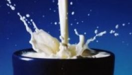 Az ízesített magyar tejek meghódítják a világot