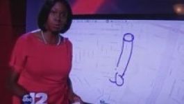 Óriáspéniszt rajzolt a nézőknek az ABC riportere (VIDEÓ)