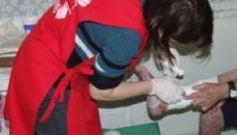 A Gyulafehérvári Caritas régi-új programjai Hargita megyében