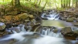 Díjazták a Tavasz a Hargitán című fotópályázat nyerteseit (GALÉRIA)