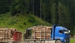 Indulatosan vitáztak a székelyföldi erdők védelméről Tusványoson