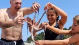 Megették a világ utolsó legritkább polippéldányát